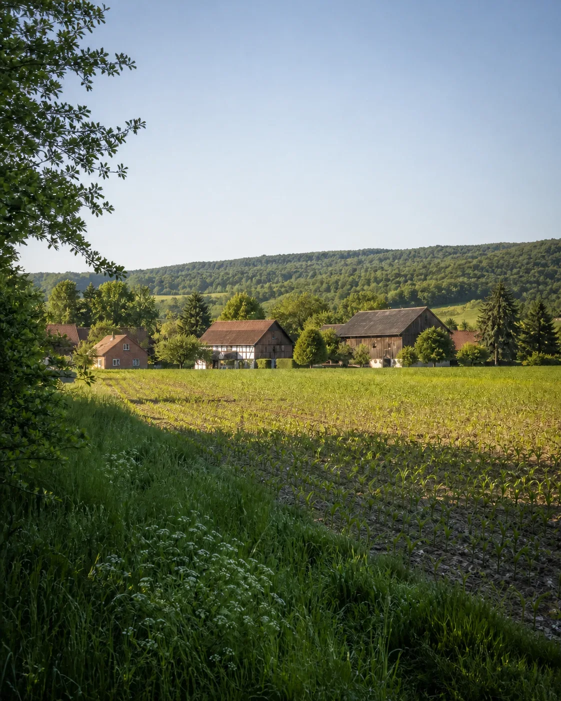 Landwirtschaftlicher Betrieb vor dem bewaldeten Deister